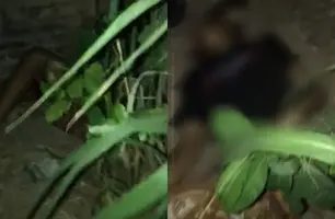 Jovem é morto a tiros no Piauí (Foto: Reprodução/ Redes Sociais)