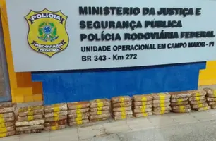 Material apreendido (Foto: Divulgação/ PRF-PI)