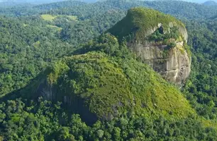 Parque Nacional Montanhas do Tumucumaque (Foto: Reprodução/Facebook)