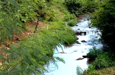 Prefeitura de Teresina será oficiada para iniciar recuperação do Riacho Itararé