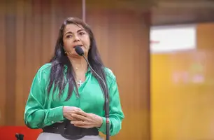 Teresa Britto, ex-deputada estadual, presidente do Partido Verde no Piauí. (Foto: Reprodução Alepi.)
