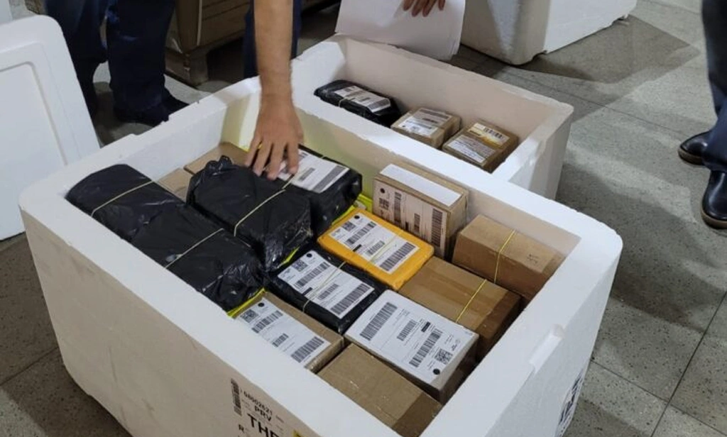 Vigilância Sanitária do Piauí apreende anabolizantes