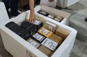 Vigilância Sanitária do Piauí apreende anabolizantes (Foto: Divulgação/ Vigilância Sanitária)