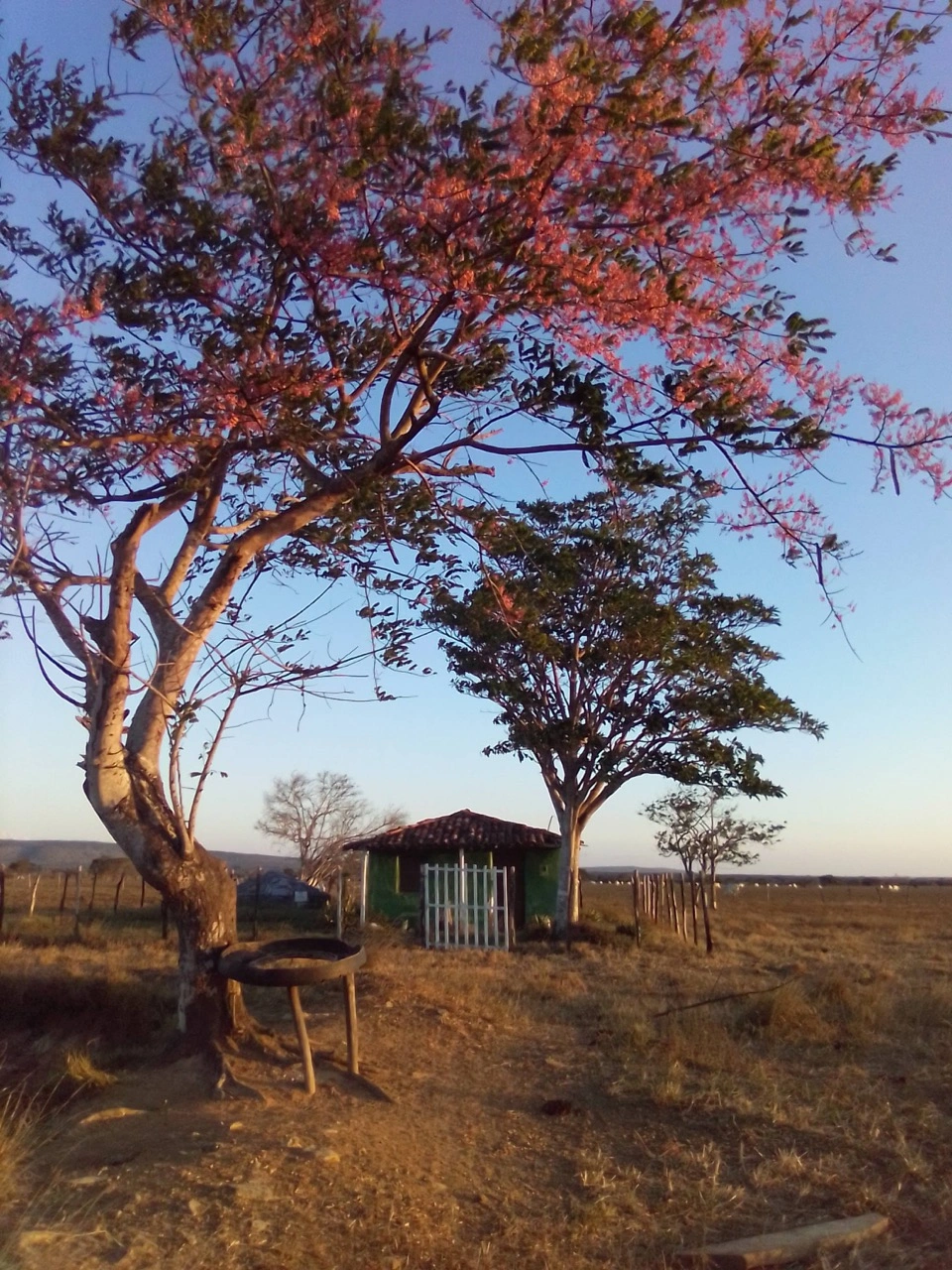 1º Lugar da categoria Habitação: “Casinha No Povoado Batata" - Micaele Dias Santos (Sergipe)