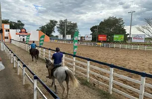 3ª Edição da ExpoPiracuruca movimenta região norte do Estado (Foto: Tânia Araújo / Conecta Piauí)