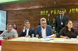 Audiência Pública na Alepi debate futuro da cadeia produtiva do caju no Piauí (Foto: Tânia Araújo / Conecta Piauí)
