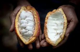 Cacau (Foto: Cristina Aldehuela/Getty Images)