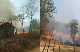 Casas são ameaças durante incêndio de grande proporções em Lagoa do Piauí (Foto: Reprodução)