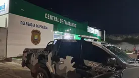 Central de Flagrantes de Parnaíba (Foto: Divulgação)