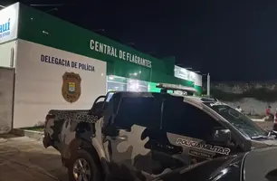 Central de Flagrantes de Parnaíba (Foto: Divulgação)