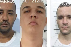 Dententos que fugiram (Foto: Divulgação)