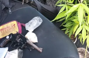 Drogas e arma apreendidas em Parnaíba (Foto: Reprodução)
