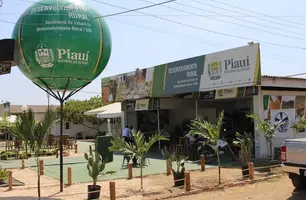 Expoapi (Foto: Reprodução)