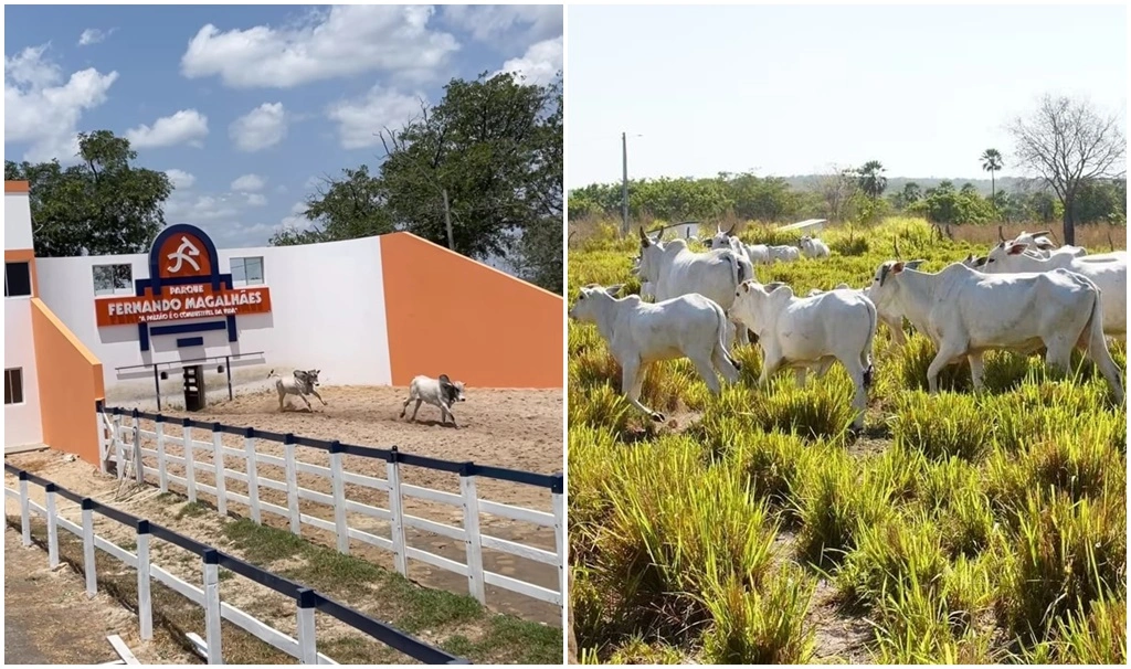 Fazenda e Haras Thasso Felipe