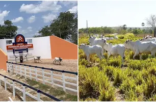 Fazenda e Haras Thasso Felipe (Foto: Reprodução)