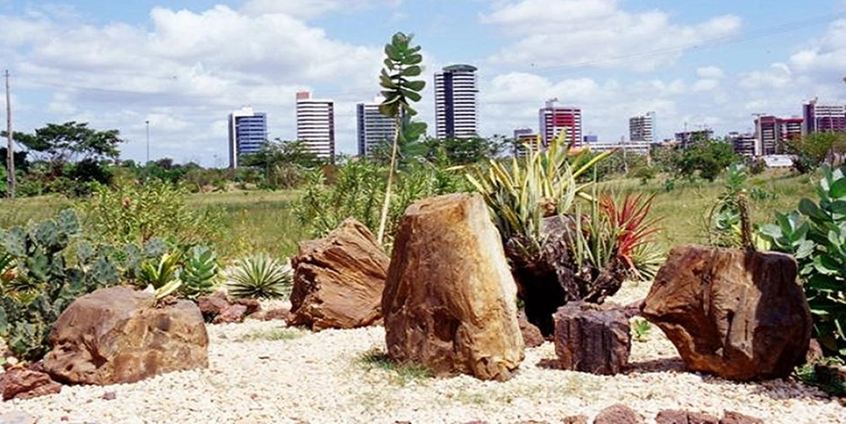 Floresta Fóssil de Teresina