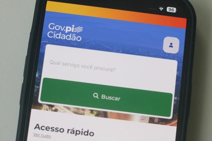 Gov.PI Cidadão