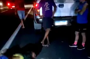 Homem morreu atropelado na BR-343 (Foto: Reprodução)