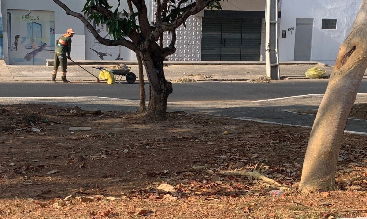 Limpeza da avenida João Antônio Leitão