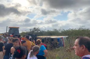 Ônibus tomba em estrada no Pernambuco (Foto: Reprodução)