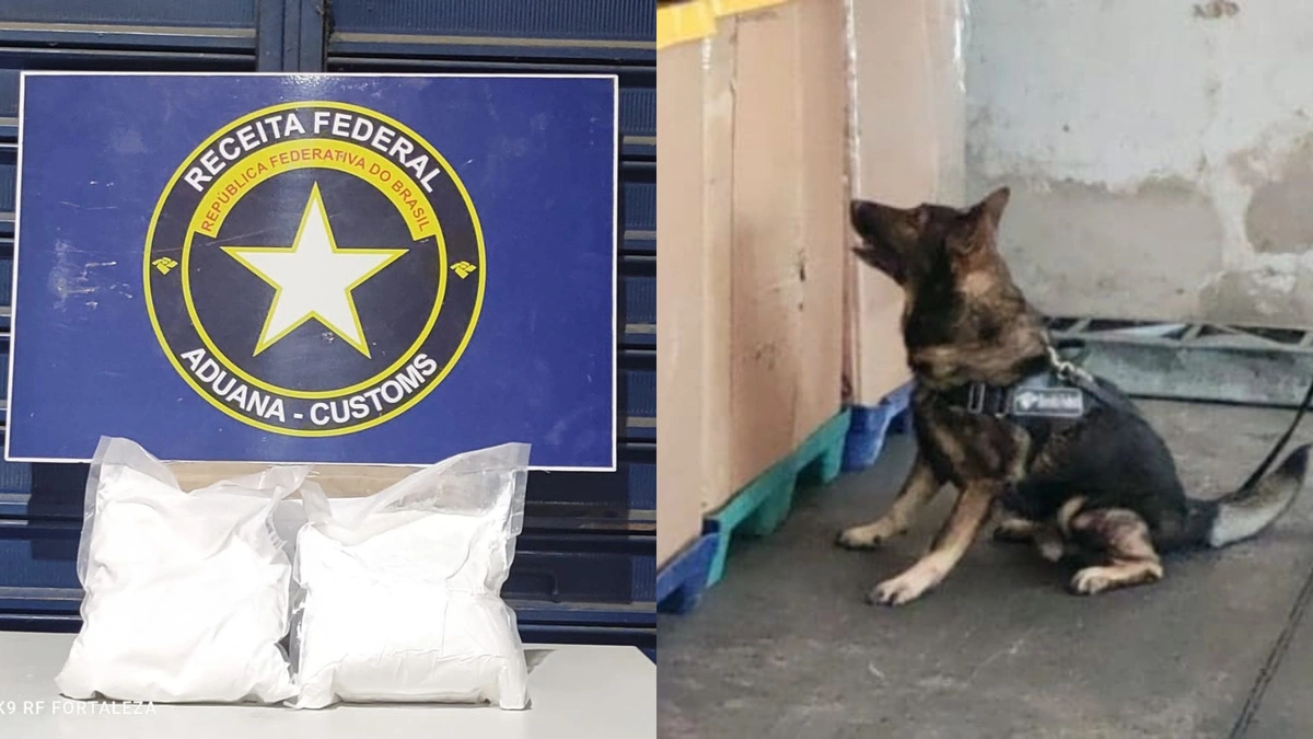 Operação da Receita Federal apreende drogas