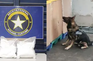 Operação da Receita Federal apreende drogas (Foto: Reprodução)