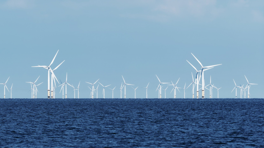 Piauí lidera investimentos em energia eólica em alto mar