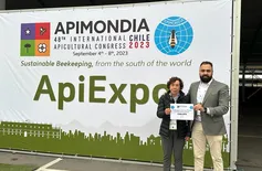 Projeto do Piauí é premiado no maior congresso de apicultura do mundo