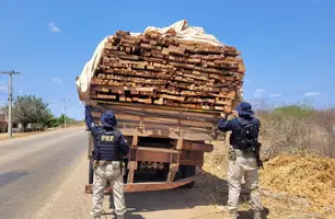Transporte ilegal de madeira com destino à Bahia é apreendida pela PRF no Piauí (Foto: Reprodução)