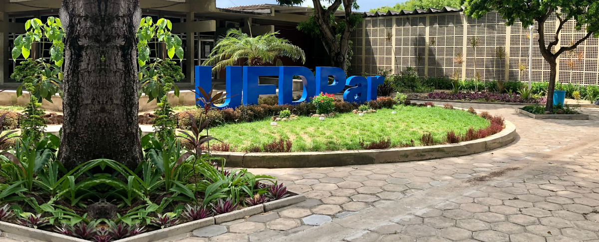 UFDPar