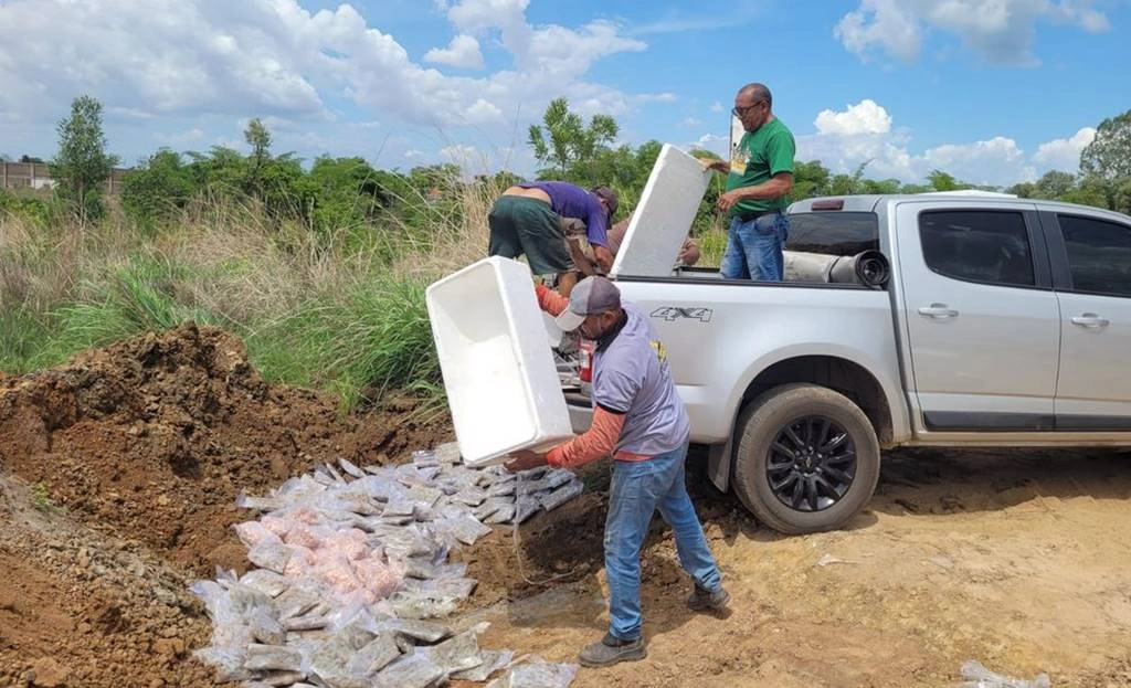 Adapi e Sefaz apreendem veículo com uma tonelada de camarão na BR 316 em Teresina