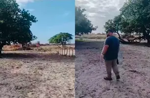 Agricultores denunciam desmatamento ilegal por grileiros em Cajueiro da Praia (Foto: Reprodução)