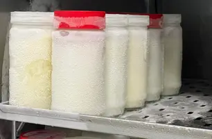 Banco de leite da Maternidade Evangelina Rosa precisa de doação para o Carnaval (Foto: Reprodução)