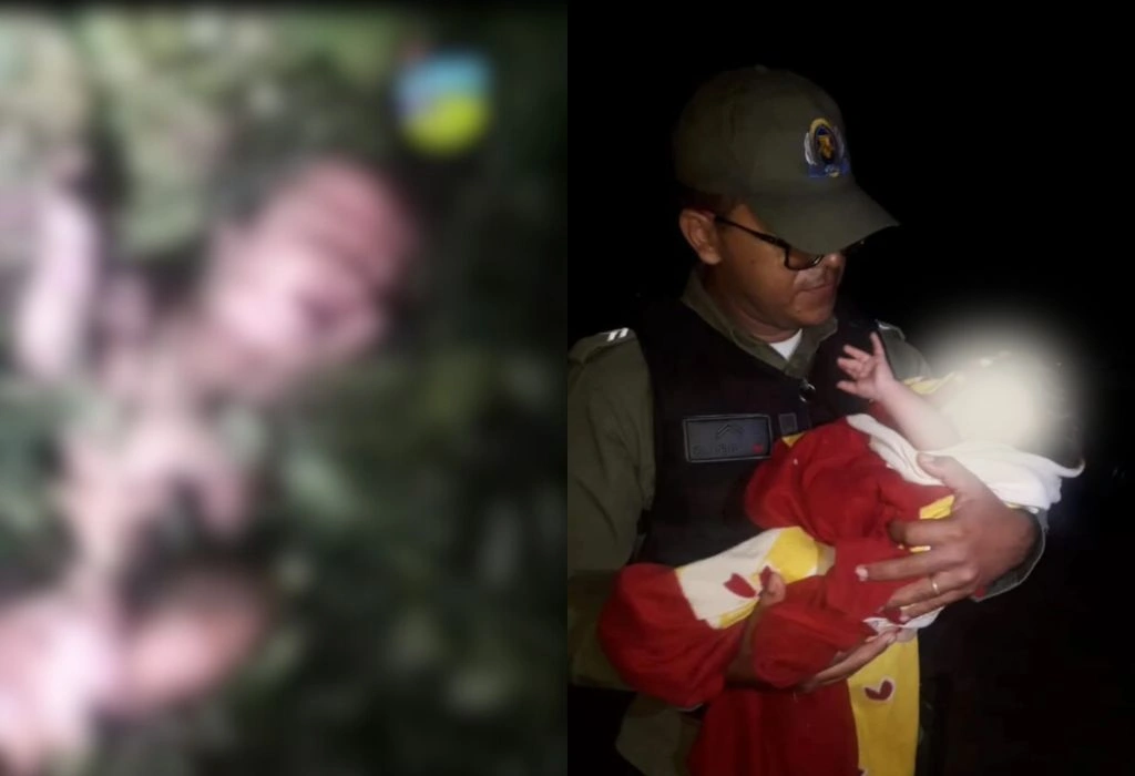Bebê é encontrado em zona de mata em Piripiri
