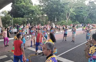 Carnaval Teresina (Foto: Reprodução)
