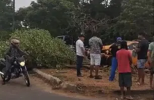 Carro bate e derruba árvore sobre motociclista na avenida João XVIII em Teresina (Foto: Reprodução)