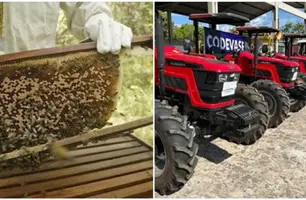 Codevasf investe R$ 186 milhões em mais da metade dos municípios piauienses (Foto: Reprodução)