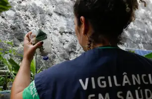 Dengue e chikungunya levam Minas Gerais a decretar emergência (Foto: Fernando Frazão / Agência Brasil)