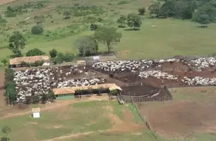 Fazenda é colocada à venda por R$ 1 bilhão na cidade de Aroazes no Piauí (Foto: Reprodução/Instagram)