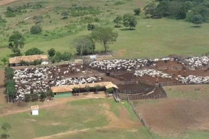 Fazenda é colocada à venda por R$ 1 bilhão na cidade de Aroazes no Piauí