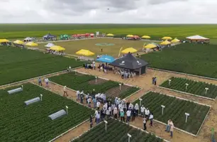 Fazenda Progresso (Foto: Tânia Araújo / Conecta Piauí)