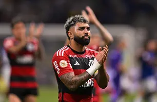 Gabigol (Foto: Divulgação/ CRF)