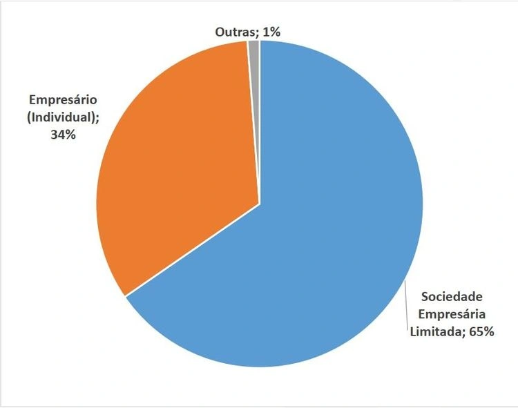 Gráfico representa as naturezas jurídicas abertas em 2023