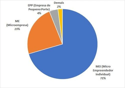 Gráfico representa o total de empresas abertas em 2023 por porte empresarial.