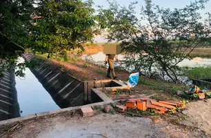 Homem é preso e fazenda multada em R$ 1 milhão por crime ambiental em Parnaíba (Foto: Reprodução)