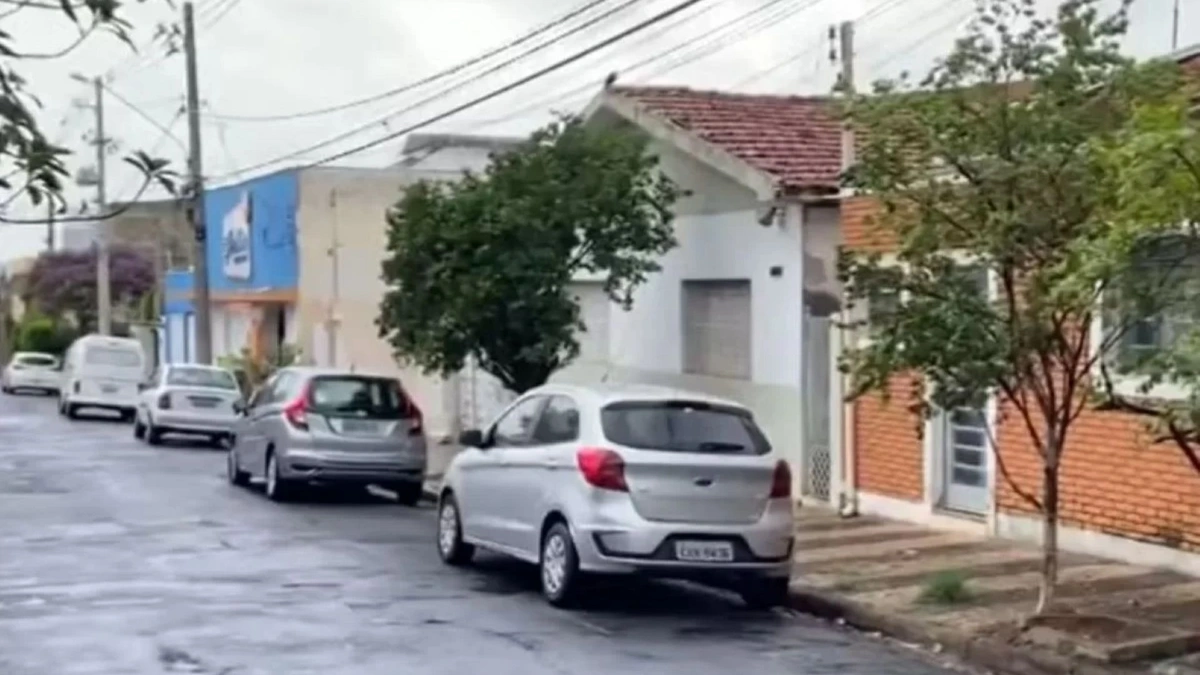 Idoso de 90 anos é entubado após sofrer ataque de abelhas