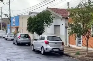 Idoso de 90 anos é entubado após sofrer ataque de abelhas (Foto: Reprodução)