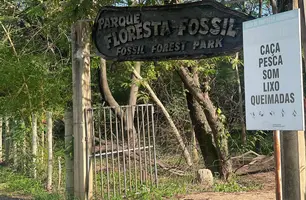 Parque Floresta Fóssil (Foto: Tiago Moura/ Conecta Piauí)
