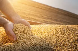 Piauí bate próprio recorde e supera marca de R$ 8 bilhões em exportações em 2023 (Foto: Reprodução)