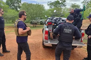 Polícia recupera 23 veículos roubados durante operação na região de Oeiras (Foto: Divulgação/PCPI)